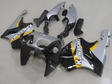 Prata & Preto Carenagem Kawasaki ZX9R 00-01