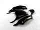 Preto Verde Kit Completo Carenagem Kawasaki EX250 08-12 Preto Verde Kit Completo Carenagem Kawasaki EX250 08-12