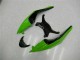 Preto Verde Vermelho Carenagem Kawasaki ZX6R 09-12 Preto Verde Vermelho Carenagem Kawasaki ZX6R 09-12