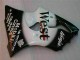 Preto West Ninja Carenagem Kawasaki ZX6R 03-04 Preto West Ninja Carenagem Kawasaki ZX6R 03-04