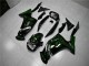 Verde Chama Carenagem Kawasaki EX650 06-08