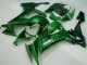 Verde Chama Carenagem Kawasaki ZX10R 08-10