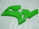 Verde Kit Carenagem Kawasaki ZX6R 05-06