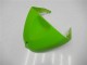Verde Kits Carenagem Kawasaki ZX6R 05-06 Verde Kits Carenagem Kawasaki ZX6R 05-06
