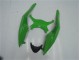 Verde Preto Abs Kit Completos Carenagem Kawasaki ZX6R 09-12 Verde Preto Abs Kit Completos Carenagem Kawasaki ZX6R 09-12