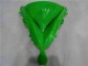 Verde Preto Carenagem Kawasaki EX650 06-08