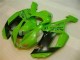 Verde Preto Dunlop Carenagem Kawasaki ZX6R 07-08 Verde Preto Dunlop Carenagem Kawasaki ZX6R 07-08