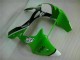 Verde Preto Injeção Kits Carenagem Kawasaki ZX6R 00-02