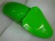 Verde Preto Injeção Kits Carenagem Kawasaki ZX6R 00-02