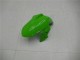 Verde Preto Prata Carenagem Kawasaki EX300 13-16 Verde Preto Prata Carenagem Kawasaki EX300 13-16